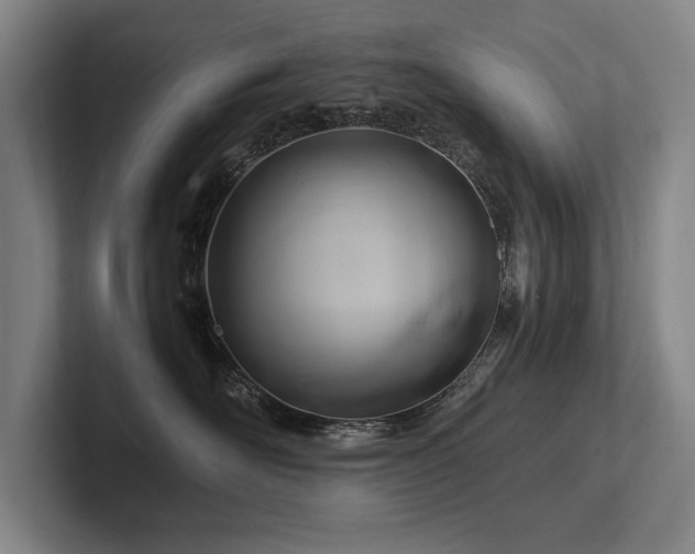 X0000102760526200808181111