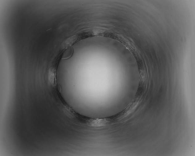 X0000102760527200808181111