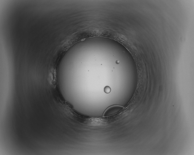 X0000102760528200808181111