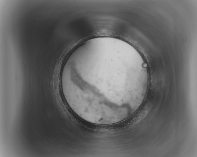 X0000102760529200808181111