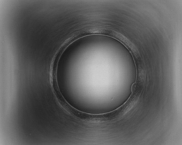 X0000102760530200808181111