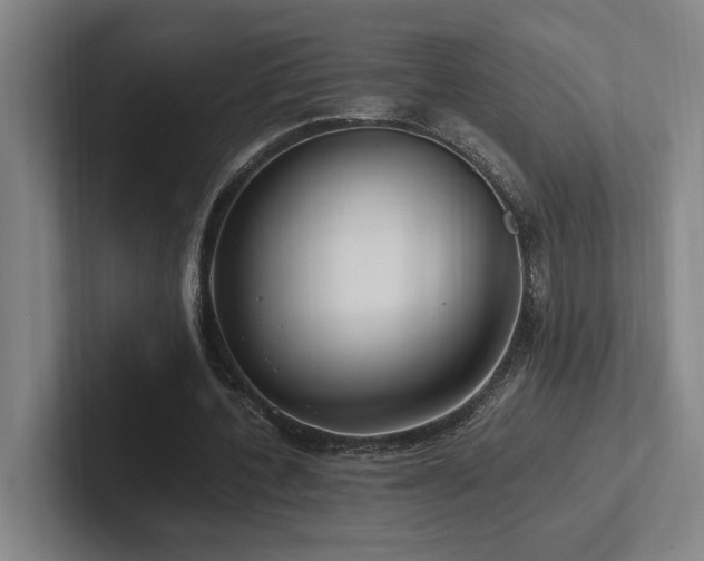 X0000102760532200808181111