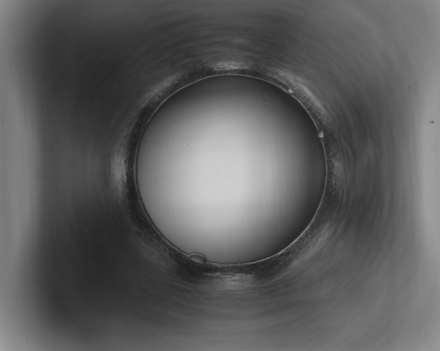 X0000102760539200808181111