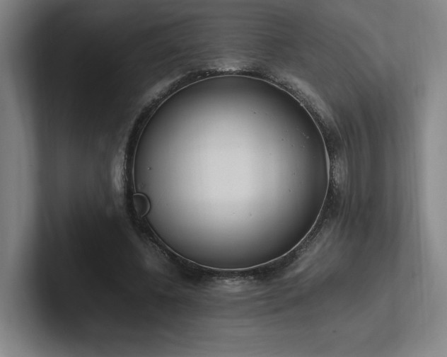 X0000102760540200808181111