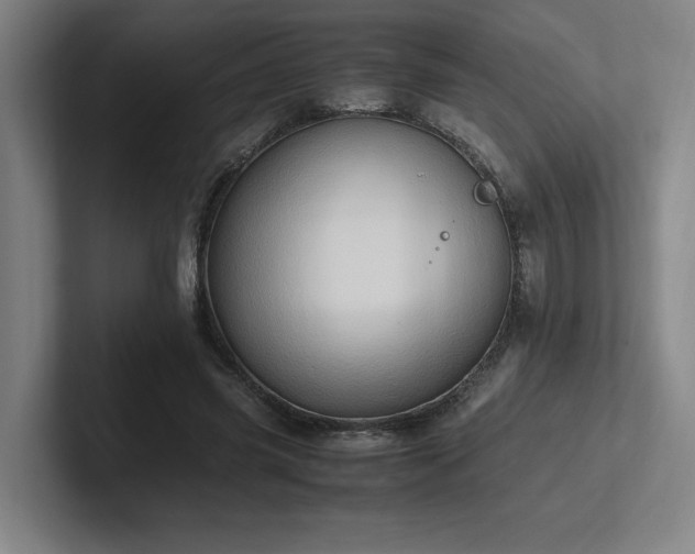 X0000102760541200808181111