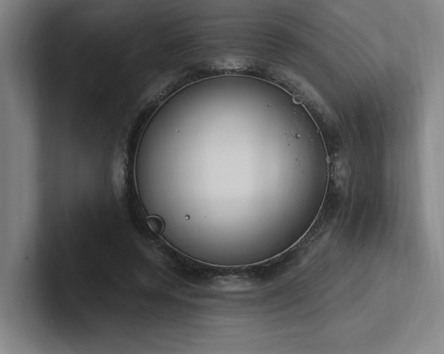 X0000102760544200808181111
