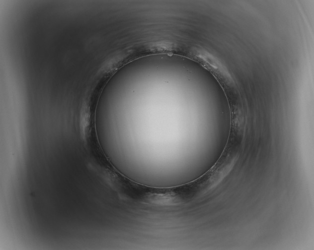 X0000102760548200808181111