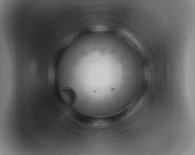 X0000102760549200808181111