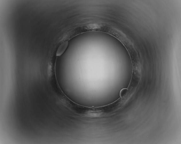 X0000102760556200808181111
