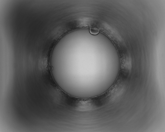 X0000102760560200808181111