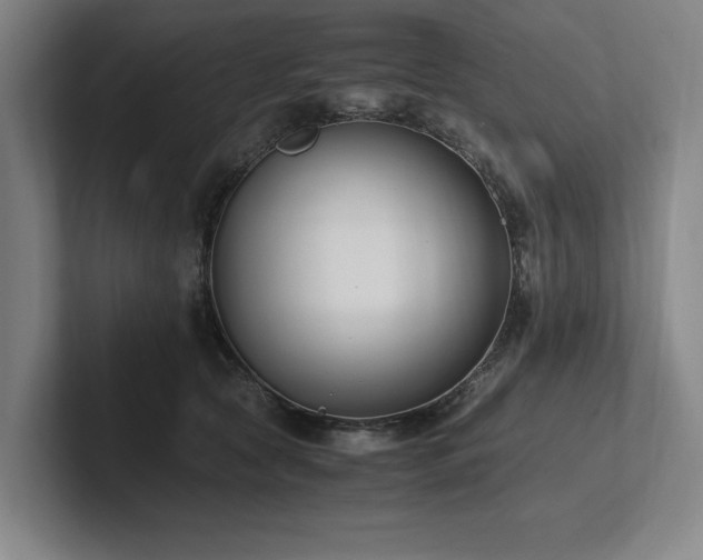 X0000102760561200808181111