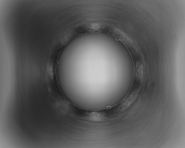 X0000102760562200808181111