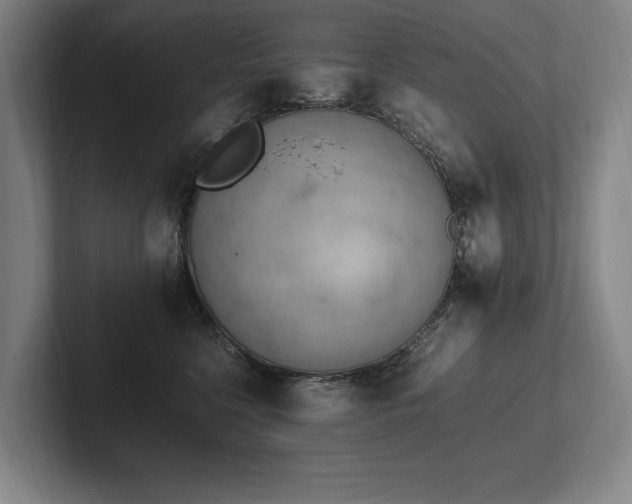 X0000102760568200808181111