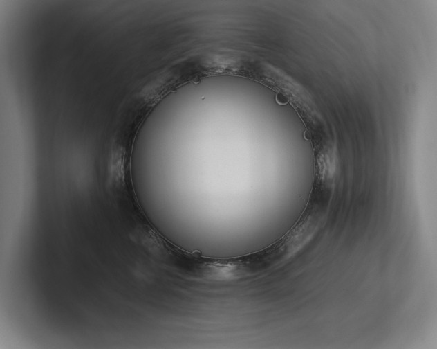 X0000102760570200808181111