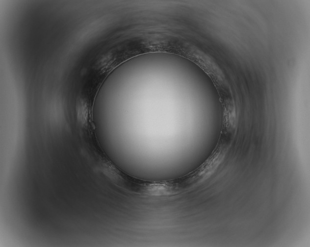 X0000102760574200808181111