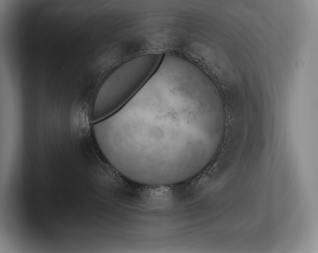 X0000102760576200808181111