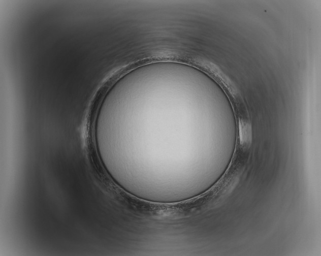 X0000102760579200808181111