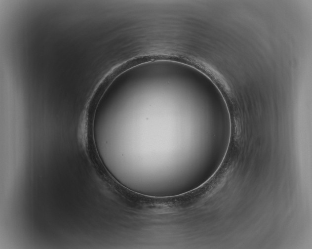 X0000102760580200808181111