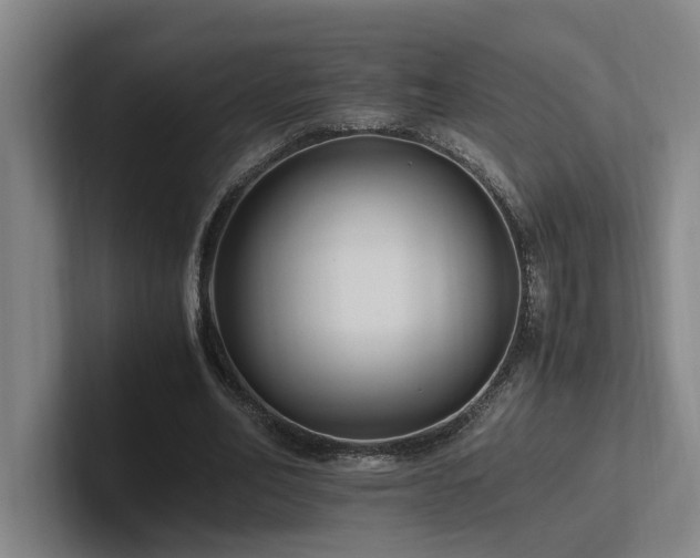 X0000102760582200808181111