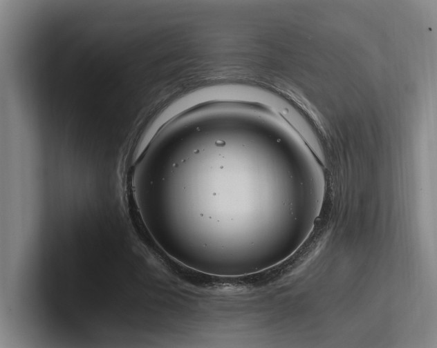X0000102760585200808181111