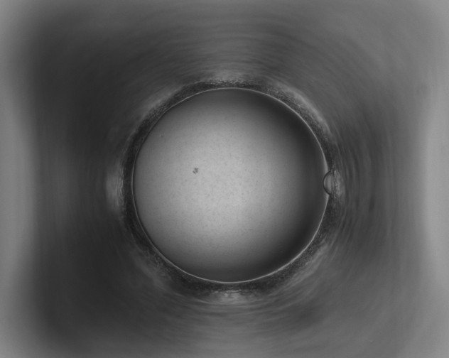 X0000102760588200808181111