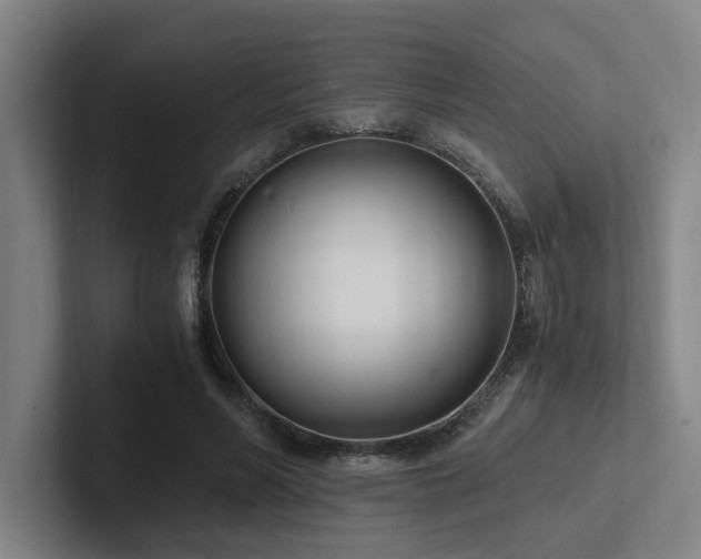 X0000102760590200808181111