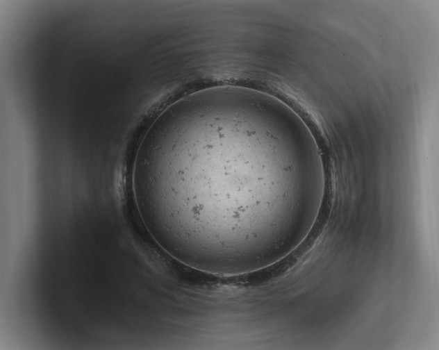 X0000102760592200808181111