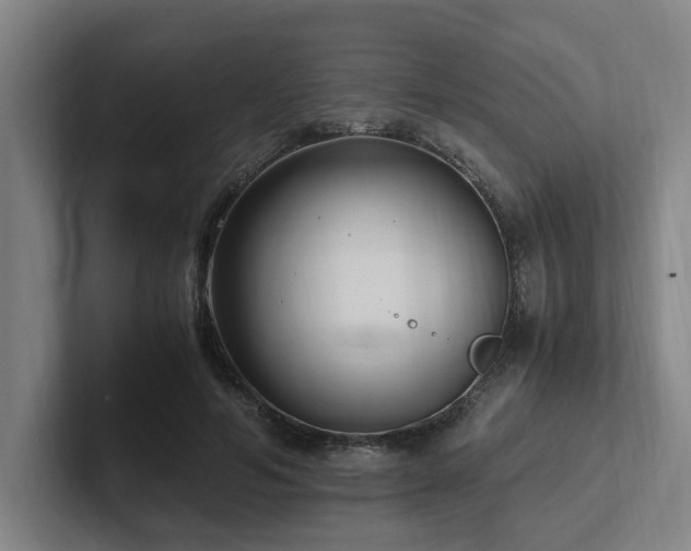 X0000102760594200808181111