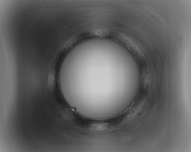 X0000102760595200808181111
