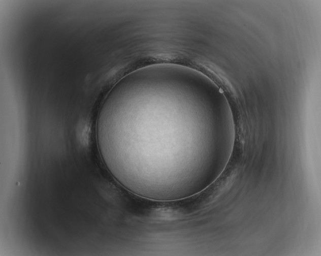 X0000102760596200808181110
