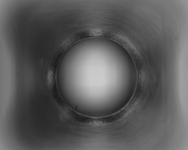 X0000102760598200808181110