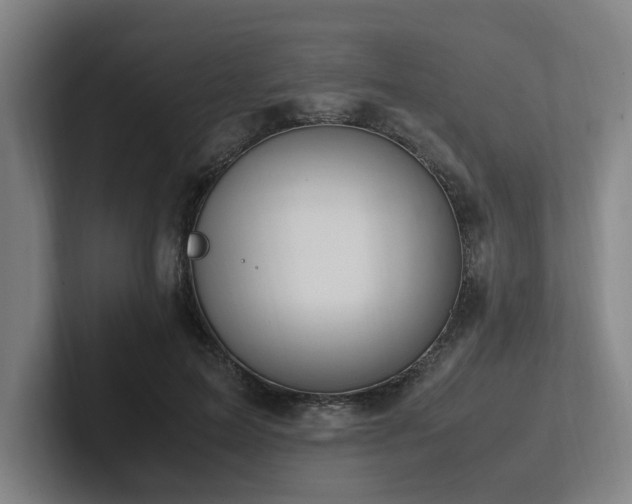 X0000102760599200808181110