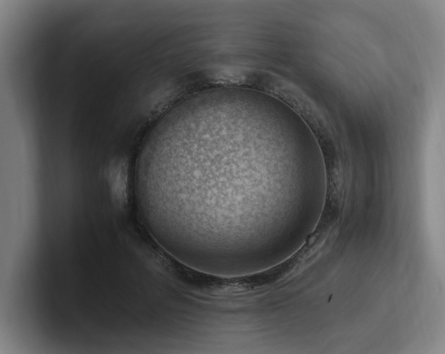 X0000102760600200808181110
