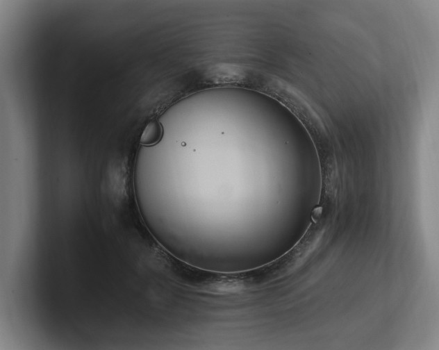 X0000102760604200808181110