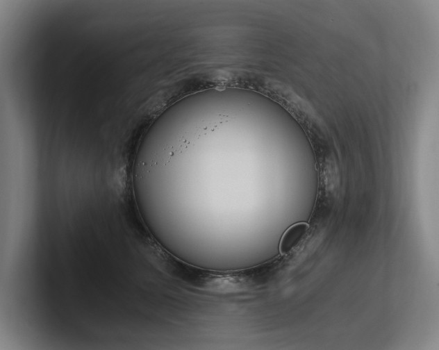 X0000102760611200808181110
