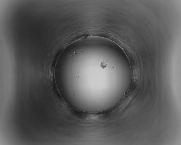 X0000102760613200808181110
