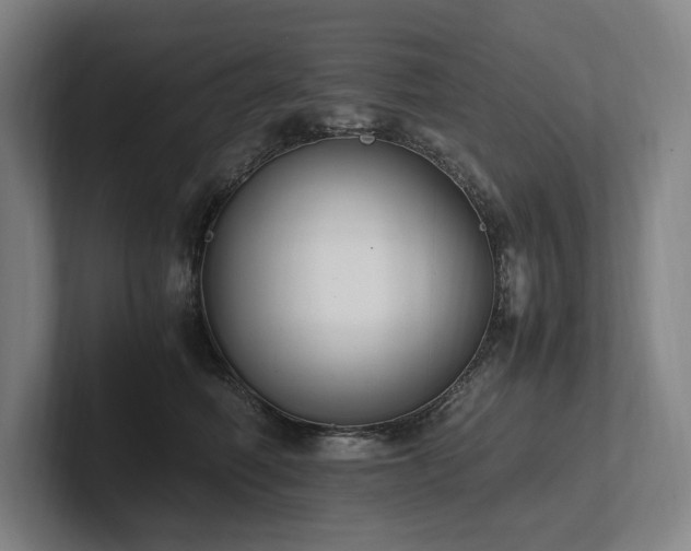 X0000102760614200808181110