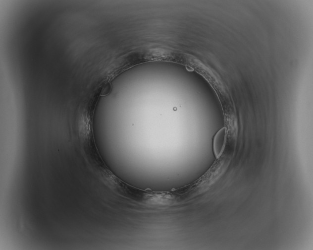 X0000102760621200808181110