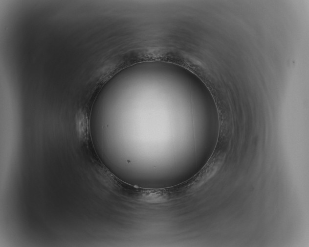 X0000102760624200808181110