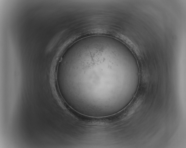 X0000102760625200808181109