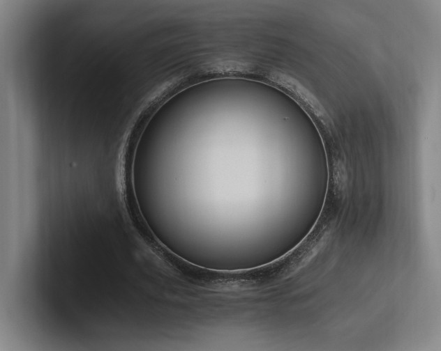 X0000102760629200808181110