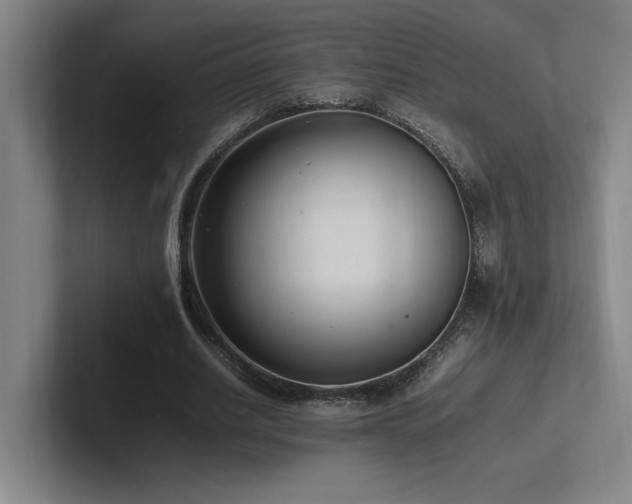 X0000102760630200808181110