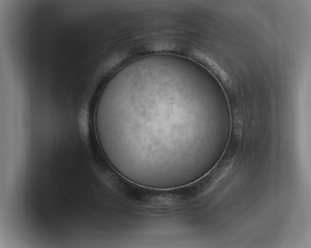 X0000102760631200808181110