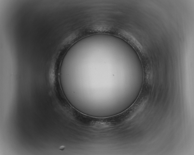 X0000102760635200808181110