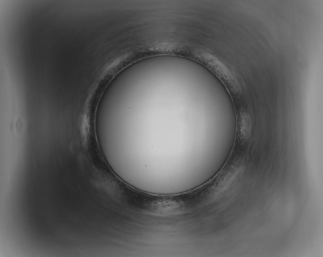 X0000102760636200808181110