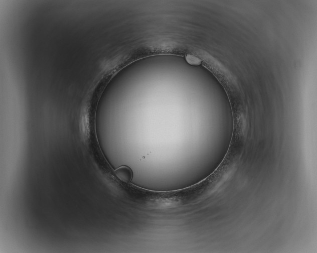 X0000102760638200808181110