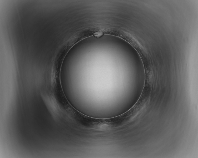 X0000102760643200808181110