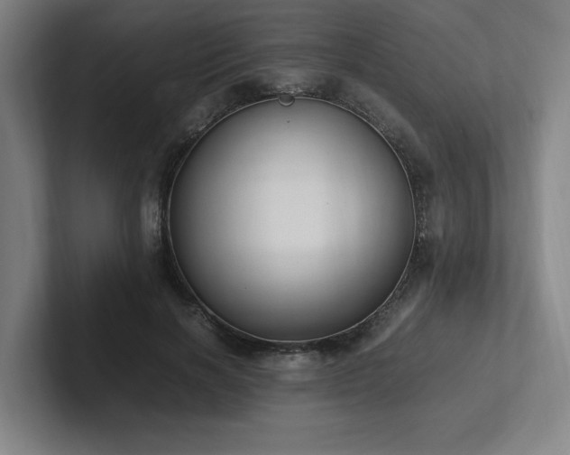 X0000102760646200808181110