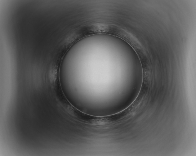 X0000102760652200808181110