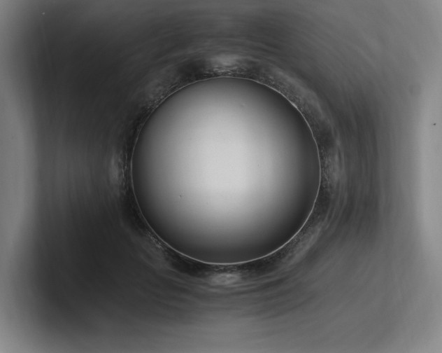 X0000102760653200808181110